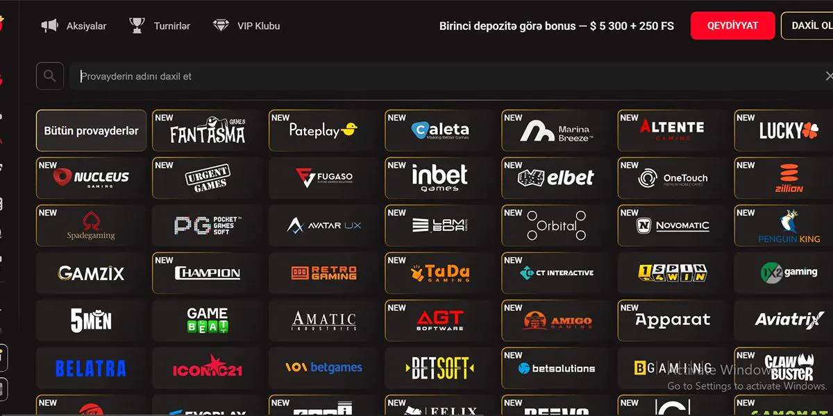 Pinco Casino provider list 1