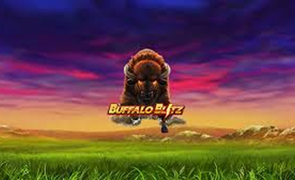buffalo blitz featured image 1